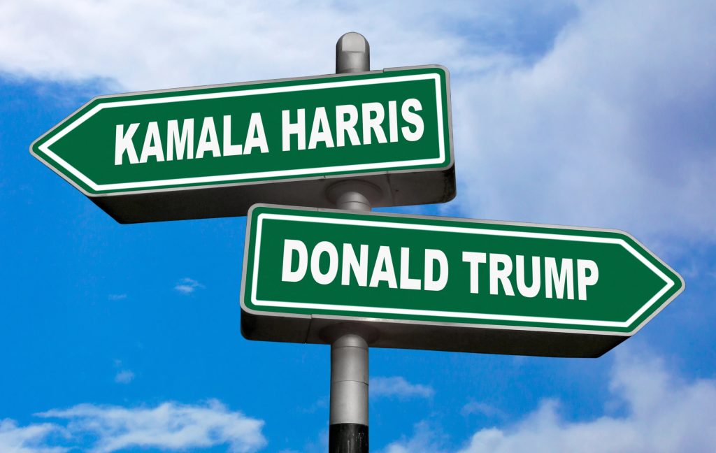 trump and harris competing street signs